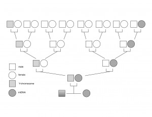 2014-12_types_of_DNA_illust